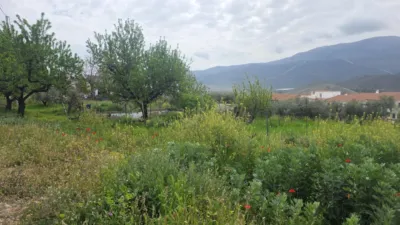 Rustic farm on Calle Diseminados, No. 1 photo 24