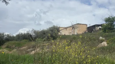 Rustic farm on Calle Diseminados, No. 1 photo 5