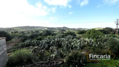 Rustic Finca on Carrer de Manacor photo 20