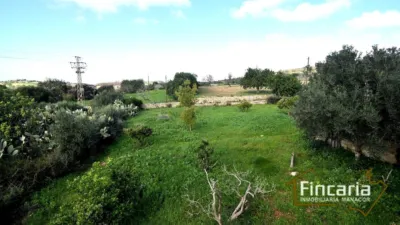 Rustic Finca on Carrer de Manacor photo 21