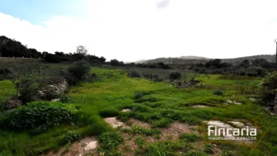 Rustic Finca on Carrer de Manacor photo 22