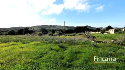 Rustic Finca on Carrer de Manacor photo 24