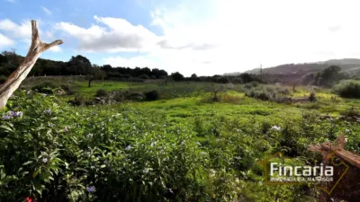 Rustic Finca on Carrer de Manacor photo 26