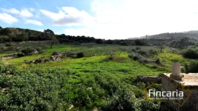 Rustic Finca on Carrer de Manacor photo 27