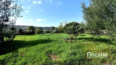 Rustic Finca on Carrer de Manacor photo 30