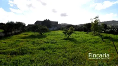 Rustic Finca on Carrer de Manacor photo 32