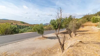 Rustic property located at Calle Polígono 15 Parcela 110 Mojonera, Lanjaron (Granada, nº 15). photo 24