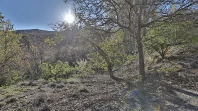 Rustic finca on Calle Dúrcal photo 36