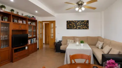 Chalet in South Of Spain photo 14