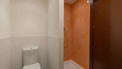 Penthouse on Calle del Tigre photo 19