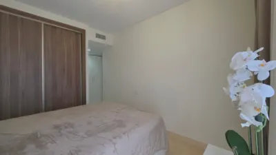 Apartment on Avenida Conrado Albaladejo, No. 35 F photo 18