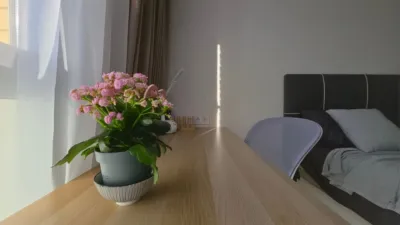 Apartment on Avenida Conrado Albaladejo, No. 35 F photo 33