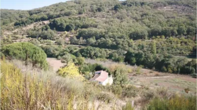 Finca rústica en Avenida de España, 1 photo 18