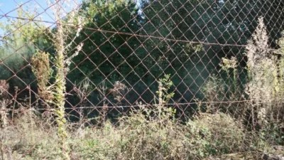 Finca rústica en Avenida de España, 1 photo 20
