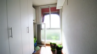Miniatura 10