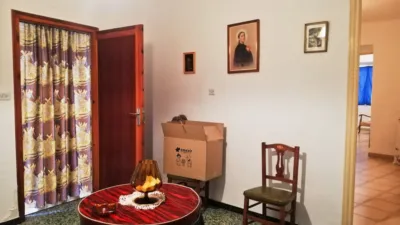 Miniatura 12