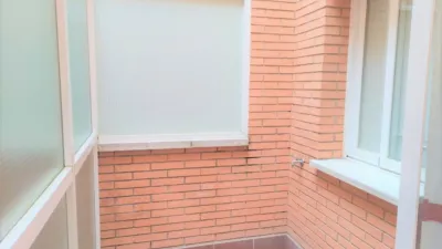 Miniatura 11