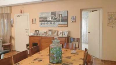 Miniatura 12