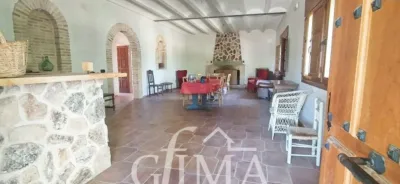 Miniatura 11