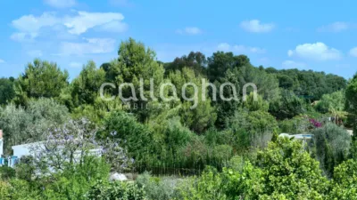 Chalet on Carrer Pi Blanc photo 56