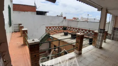 Miniatura 10