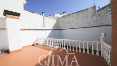 Miniatura 11