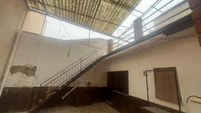 Miniatura 12