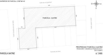 Miniatura 12