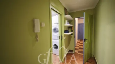Miniatura 12