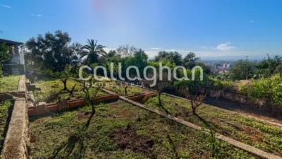 Chalet on Carrer Vent de Xaloc photo 45