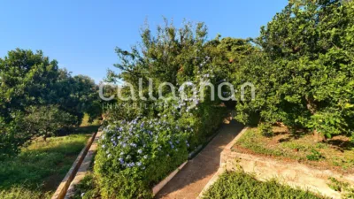 Chalet on Carrer Vent de Xaloc photo 9