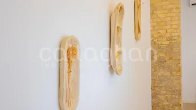 Apartment in Carrer dels Vivons photo 36