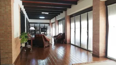 Miniatura 10