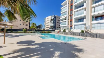 Apartment in La Torre de La Horadada photo 25