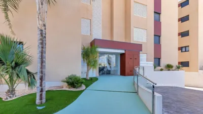 Apartment in La Torre de La Horadada photo 30