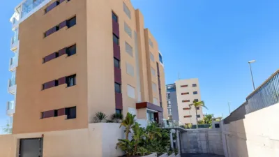 Apartment in La Torre de La Horadada photo 32