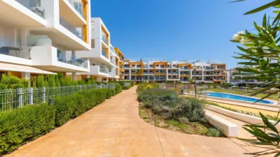 Apartment in Los Dolses photo 28