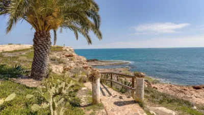 Attic in La Zenia photo 32
