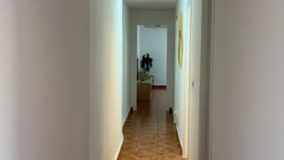 Apartment on Calle de Patricio Zammit photo 45