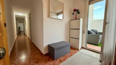 Apartment on Calle de Patricio Zammit photo 49