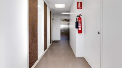 Apartment in Baix Segura Guardamar photo 12