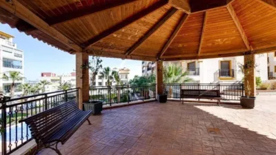 Apartment in Baix Segura Guardamar photo 13