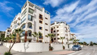 Apartment in Baix Segura Guardamar photo 16