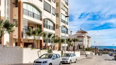 Apartment in Baix Segura Guardamar photo 17