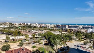 Apartment in Baix Segura Guardamar photo 18