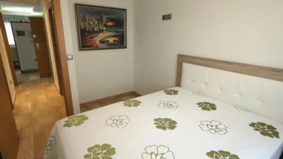 Apartment in Baix Segura Guardamar photo 51