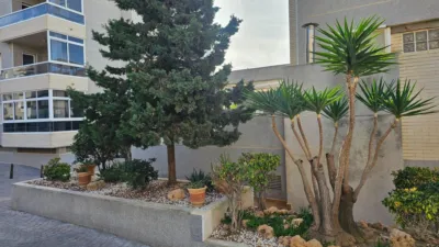 Apartment in Torreblanca photo 27
