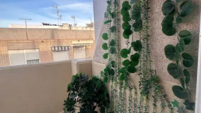 Apartment in Torrevieja - Vista 3