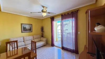 Penthouse on Avenida de las Habaneras photo 28