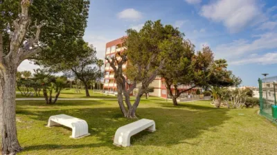 Pis – Torrevieja, Cabo Cervera-Playa la Mata - Vista 4